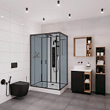 Душевая кабина Niagara Premium 120х80х210 NG- 6912-01GQR BLACK