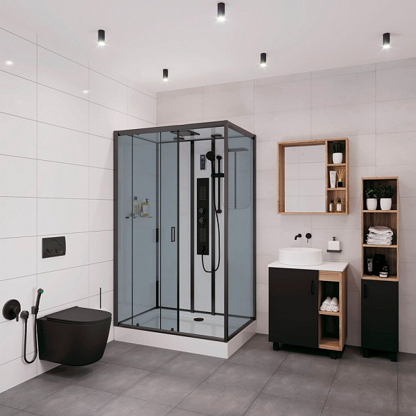 Душевая кабина Niagara Premium 120х80х210 NG- 6912-01GQR BLACK