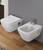 Крышка-сиденье Geberit Smyle  500.239.01.1 (571530000)