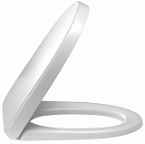 Крышка/сиденье для унитаза Jacob Delafon ODEON UP E70009-00