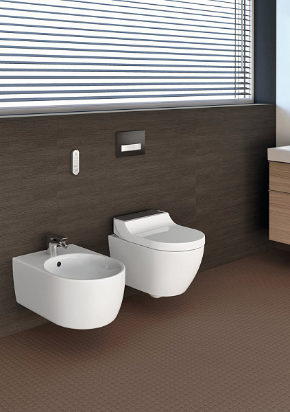 Унитаз-биде подвесной Geberit AquaClean 146.294.SJ.1 стекло черное