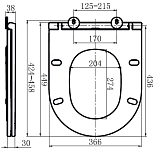 C507853WH Inspire сиденье для подвесного унитаза,микролифт