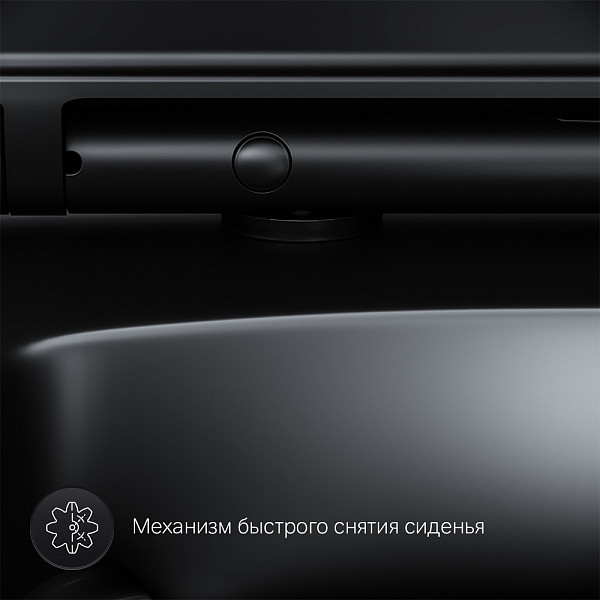 C50A1700MBSC Inspire V2.0 подвесной унитаз FlashClean с сиденьем микролифт, черн мат